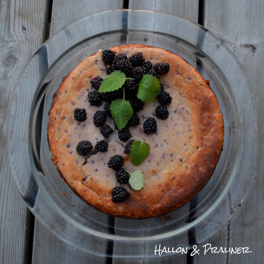 smo%cc%88rga%cc%8as8